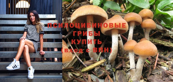 синтетический гашиш Арсеньев