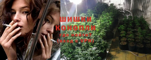 ГАЛЛЮЦИНОГЕННЫЕ ГРИБЫ Аркадак