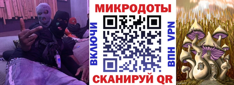 наркошоп  Тарко-Сале  Галлюциногенные грибы Psilocybe 
